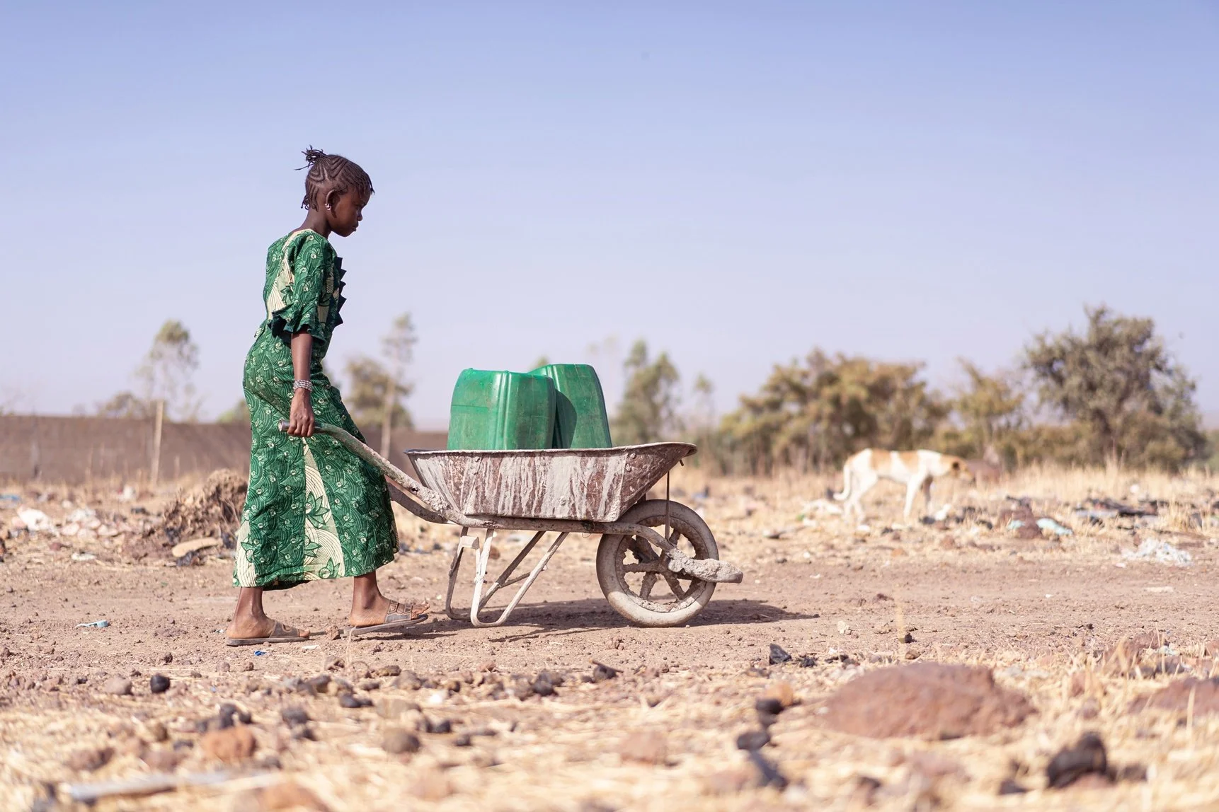 Candid photo of Aboriginal Woman Bringing fresh Water in a typica lvillage